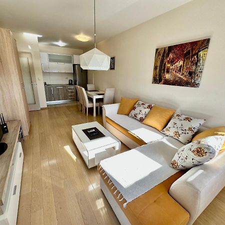 Fanky City Apartments Podgoriţa Exterior foto